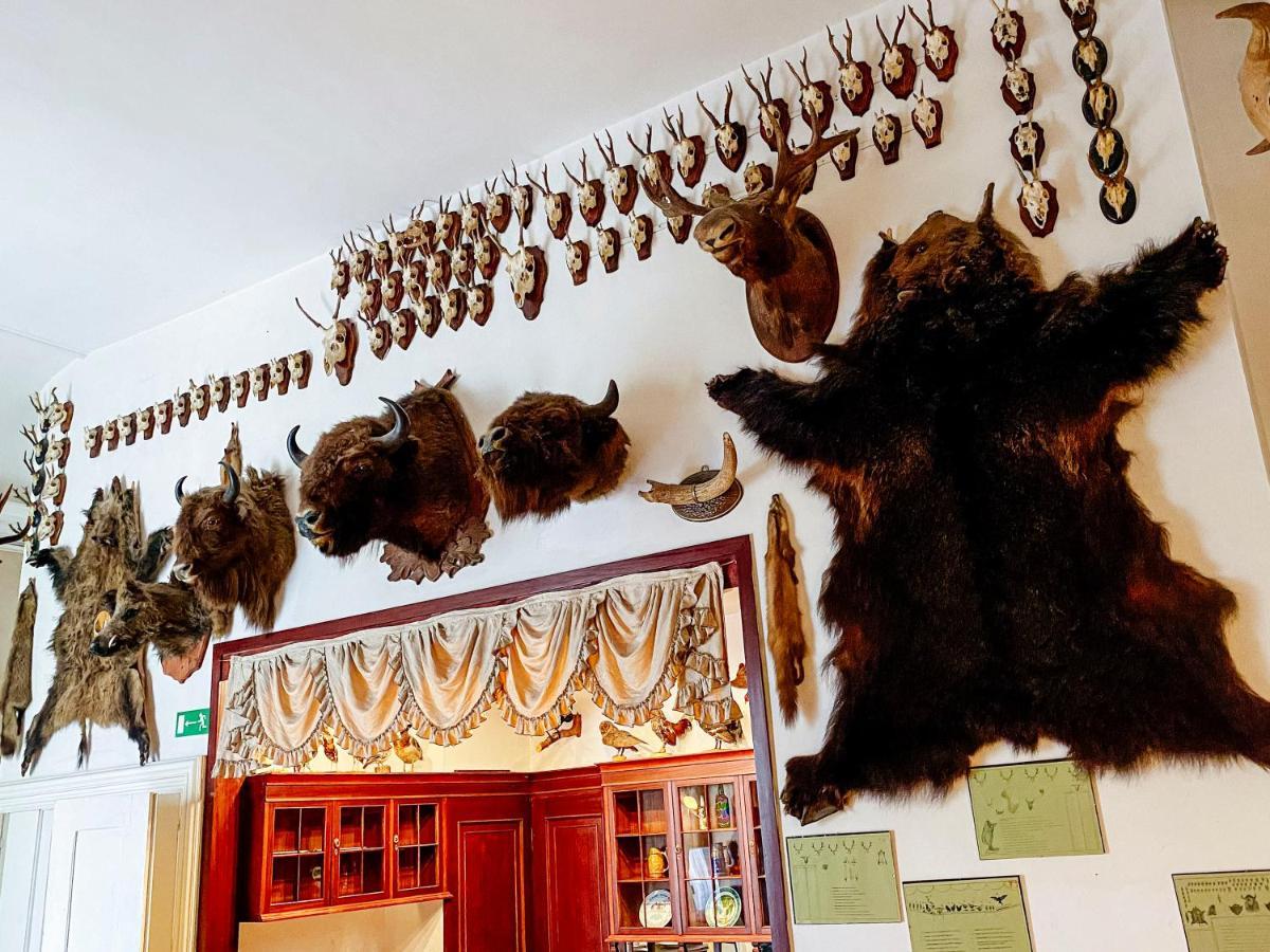 Hotel Zamek Krolewski W Rydzynie ريدزينا المظهر الخارجي الصورة